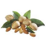 Amandes